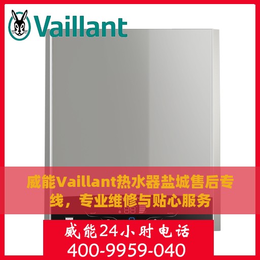 威能Vaillant热水器盐城售后专线，专业维修与贴心服务