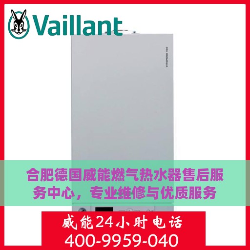 合肥德国威能燃气热水器售后服务中心，专业维修与优质服务