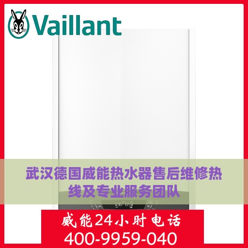 武汉德国威能热水器售后维修热线及专业服务团队