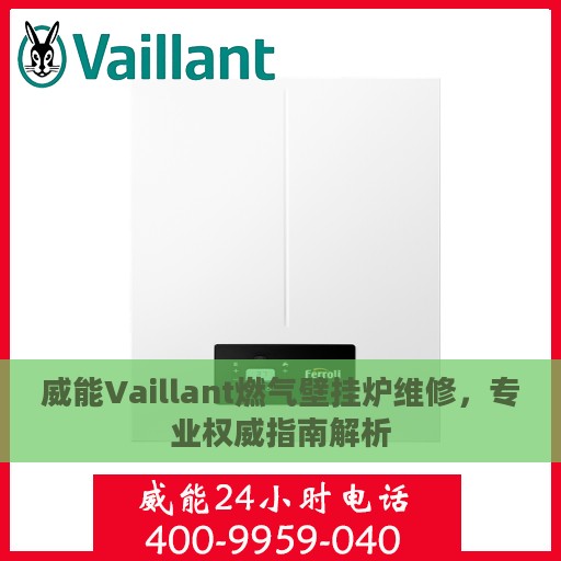 威能Vaillant燃气壁挂炉维修，专业权威指南解析