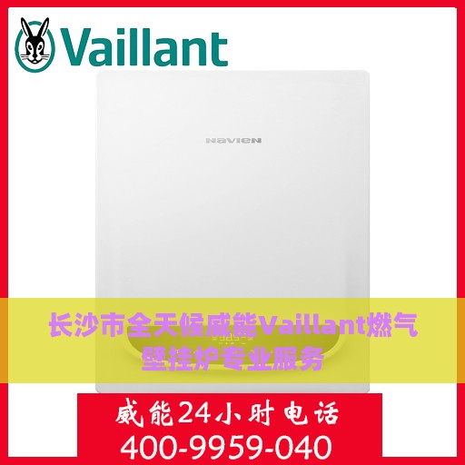 长沙市全天候威能Vaillant燃气壁挂炉专业服务
