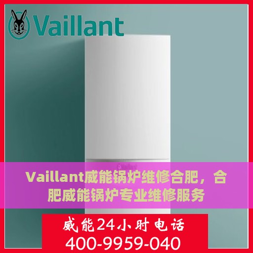 Vaillant威能锅炉维修合肥，合肥威能锅炉专业维修服务