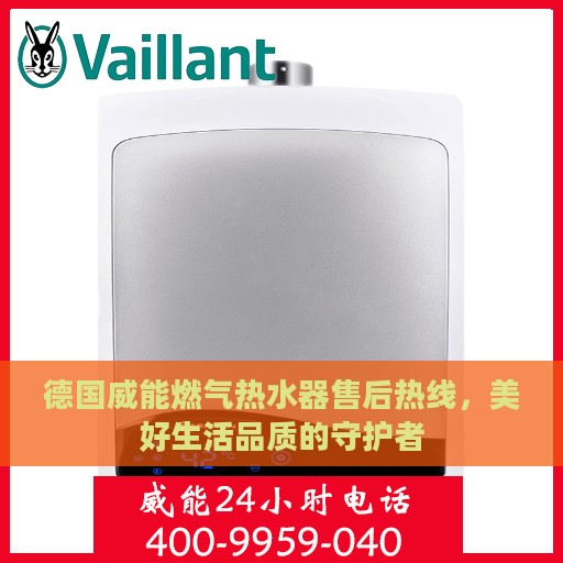 德国威能燃气热水器售后热线，美好生活品质的守护者