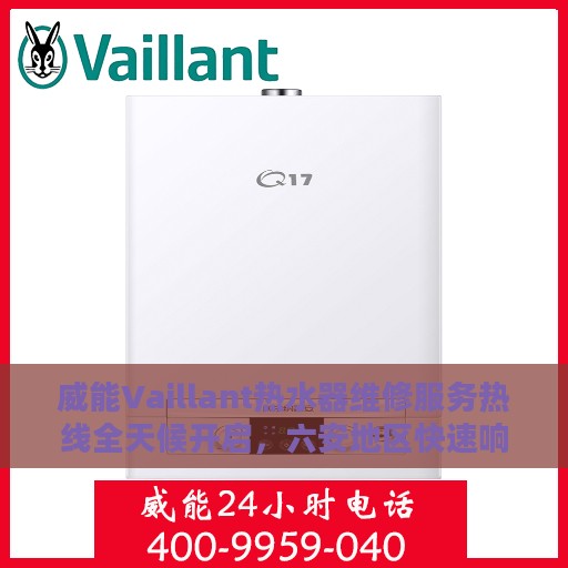 威能Vaillant热水器维修服务热线全天候开启，六安地区快速响应维修