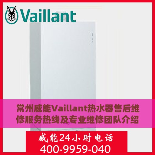 常州威能Vaillant热水器售后维修服务热线及专业维修团队介绍