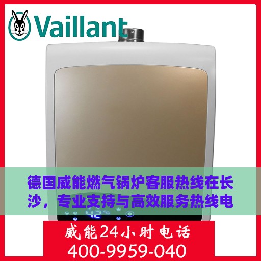 德国威能燃气锅炉客服热线在长沙，专业支持与高效服务热线电话一览
