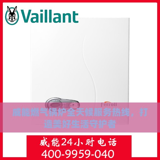 威能燃气锅炉全天候服务热线，打造美好生活守护者