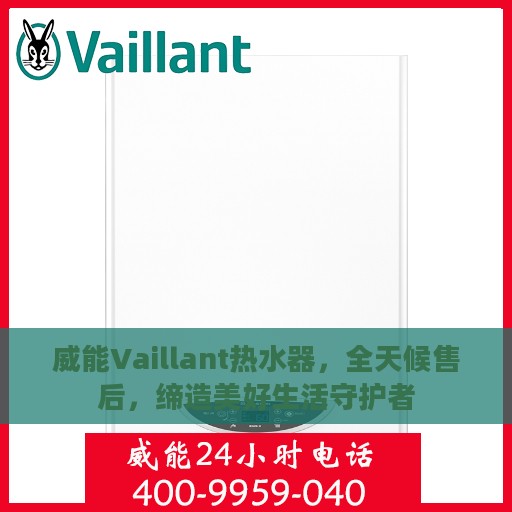 威能Vaillant热水器，全天候售后，缔造美好生活守护者