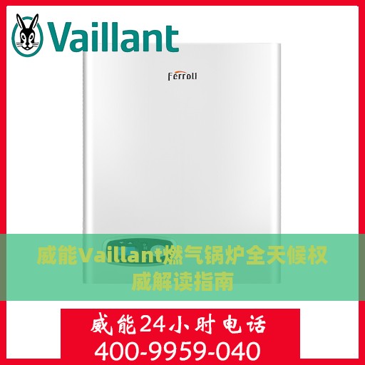威能Vaillant燃气锅炉全天候权威解读指南