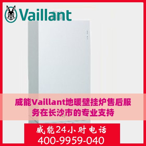 威能Vaillant地暖壁挂炉售后服务在长沙市的专业支持