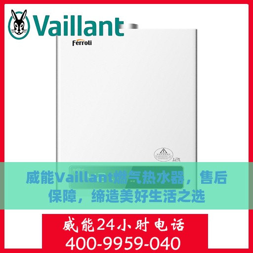 威能Vaillant燃气热水器，售后保障，缔造美好生活之选
