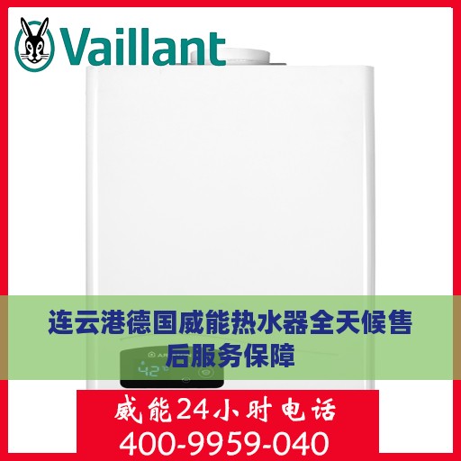 连云港德国威能热水器全天候售后服务保障