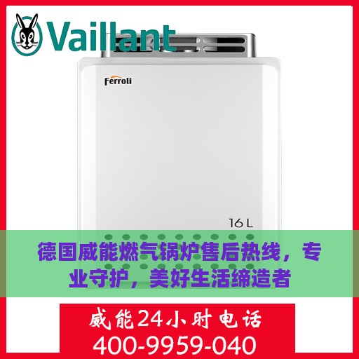 德国威能燃气锅炉售后热线，专业守护，美好生活缔造者