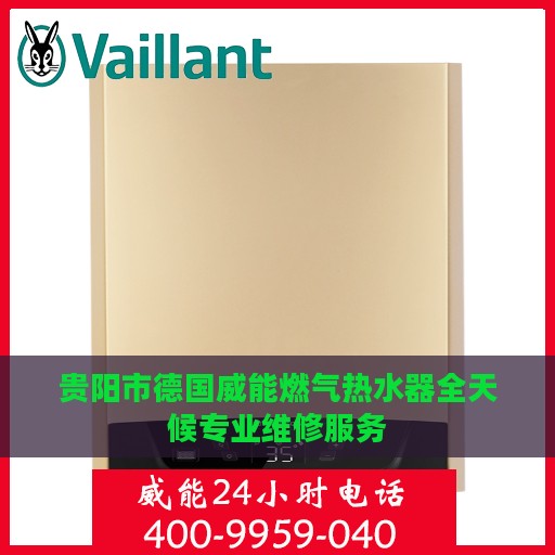 贵阳市德国威能燃气热水器全天候专业维修服务