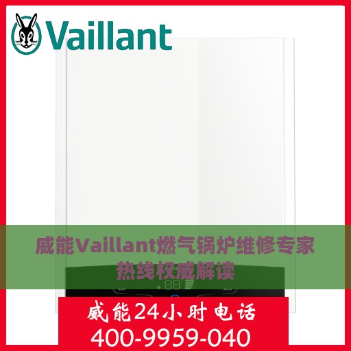 威能Vaillant燃气锅炉维修专家热线权威解读
