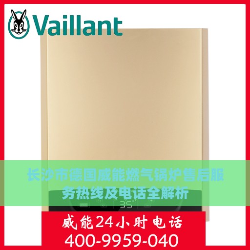 长沙市德国威能燃气锅炉售后服务热线及电话全解析