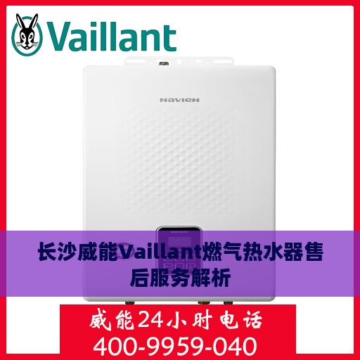 长沙威能Vaillant燃气热水器售后服务解析