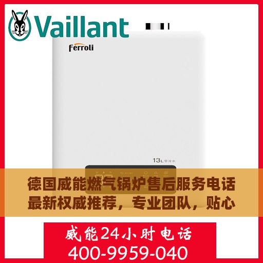 德国威能燃气锅炉售后服务电话最新权威推荐，专业团队，贴心服务