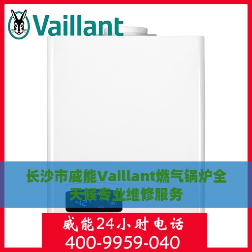 长沙市威能Vaillant燃气锅炉全天候专业维修服务