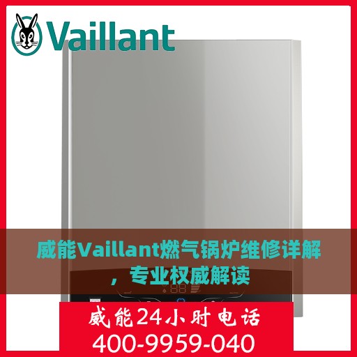 威能Vaillant燃气锅炉维修详解，专业权威解读