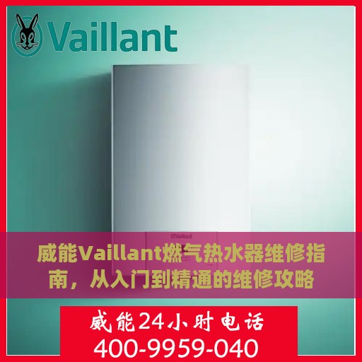 威能Vaillant燃气热水器维修指南，从入门到精通的维修攻略