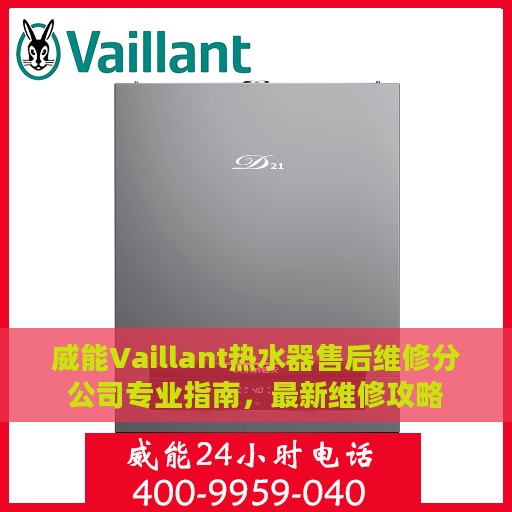 威能Vaillant热水器售后维修分公司专业指南，最新维修攻略