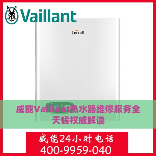 威能Vaillant热水器维修服务全天候权威解读