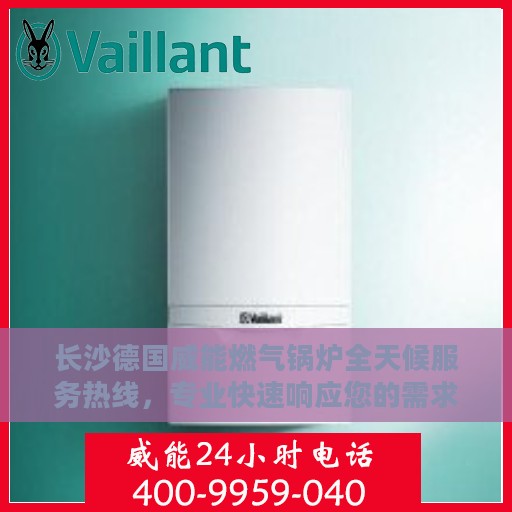 长沙德国威能燃气锅炉全天候服务热线，专业快速响应您的需求