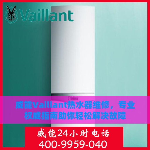 威能Vaillant热水器维修，专业权威指南助你轻松解决故障