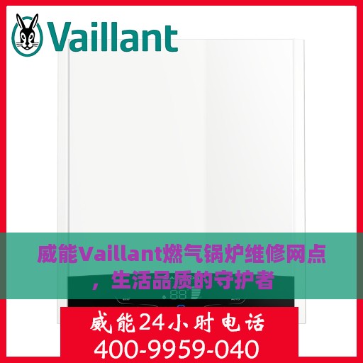威能Vaillant燃气锅炉维修网点，生活品质的守护者