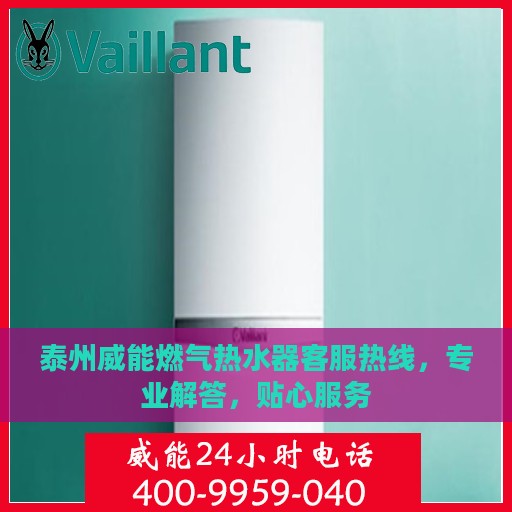 泰州威能燃气热水器客服热线，专业解答，贴心服务