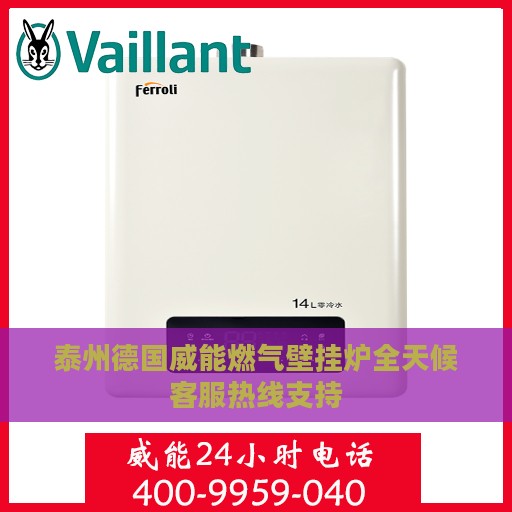 泰州德国威能燃气壁挂炉全天候客服热线支持