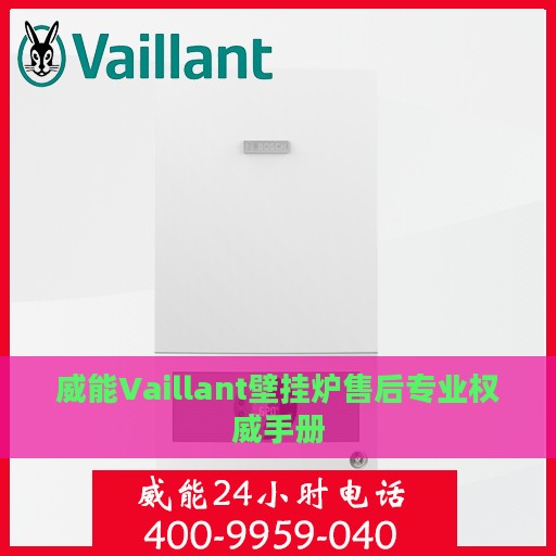 威能Vaillant壁挂炉售后专业权威手册