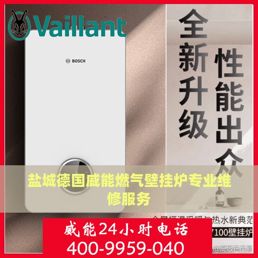 盐城德国威能燃气壁挂炉专业维修服务