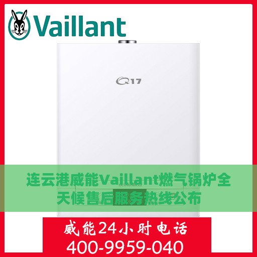 连云港威能Vaillant燃气锅炉全天候售后服务热线公布