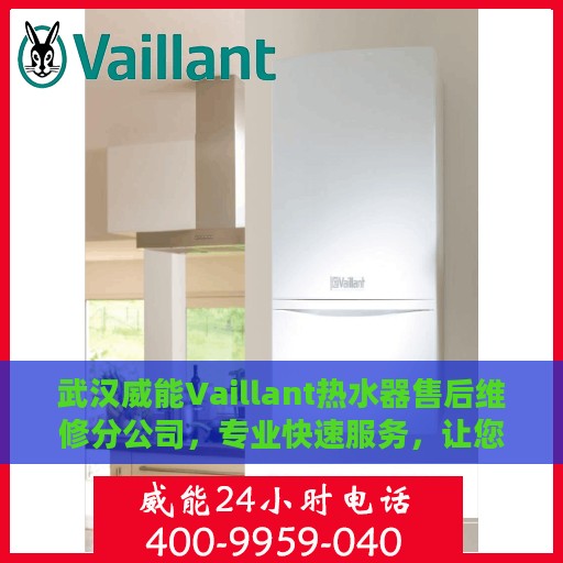 武汉威能Vaillant热水器售后维修分公司，专业快速服务，让您无忧享受温暖生活