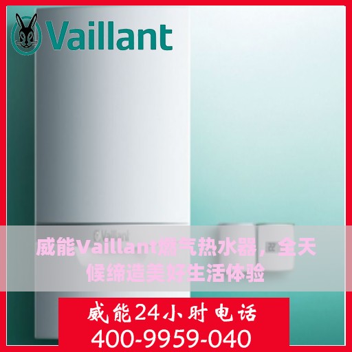 威能Vaillant燃气热水器，全天候缔造美好生活体验