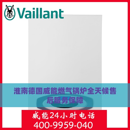 淮南德国威能燃气锅炉全天候售后服务保障