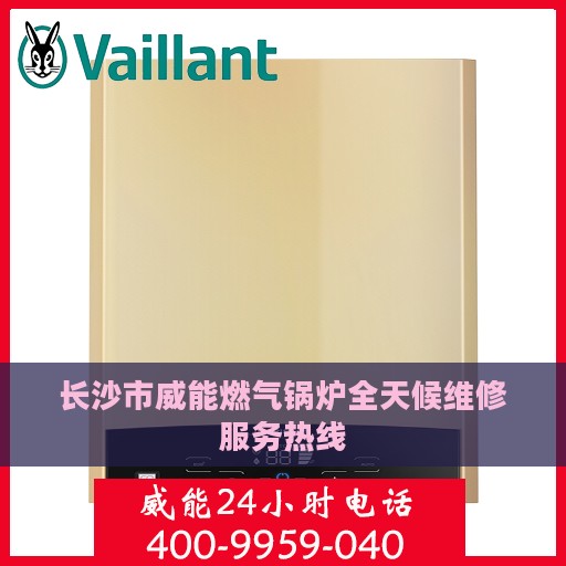 长沙市威能燃气锅炉全天候维修服务热线