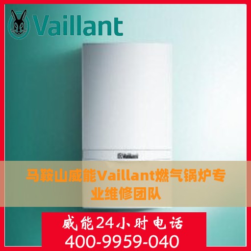 马鞍山威能Vaillant燃气锅炉专业维修团队