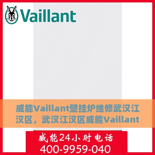 威能Vaillant壁挂炉维修武汉江汉区，武汉江汉区威能Vaillant壁挂炉专业维修服务