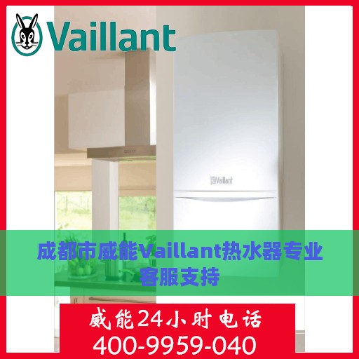 成都市威能Vaillant热水器专业客服支持