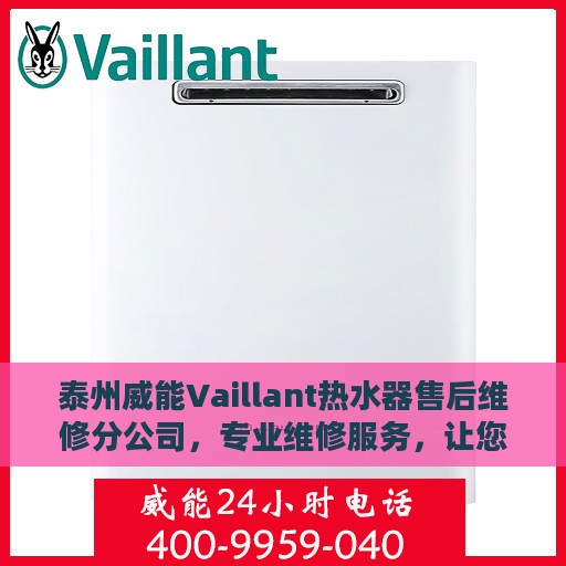 泰州威能Vaillant热水器售后维修分公司，专业维修服务，让您无忧畅享热水体验