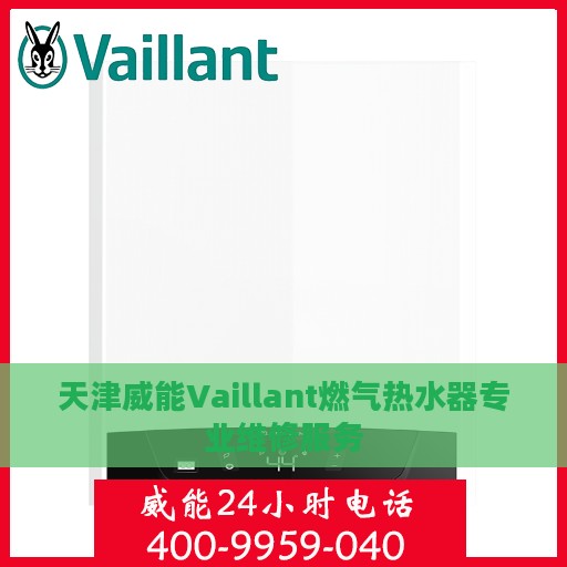 天津威能Vaillant燃气热水器专业维修服务