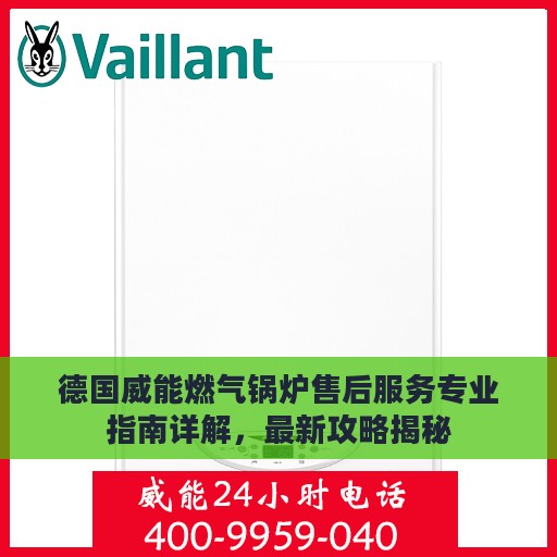 德国威能燃气锅炉售后服务专业指南详解，最新攻略揭秘