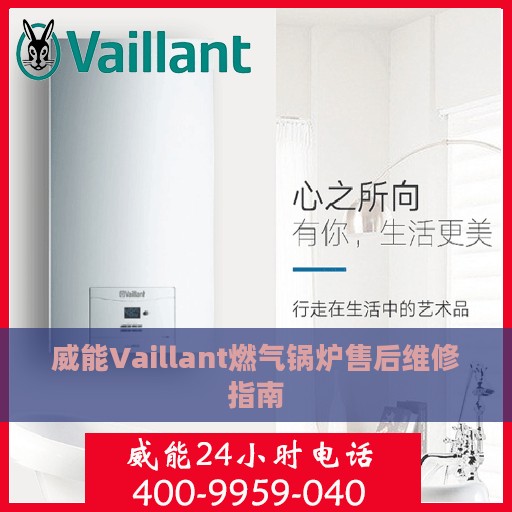 威能Vaillant燃气锅炉售后维修指南