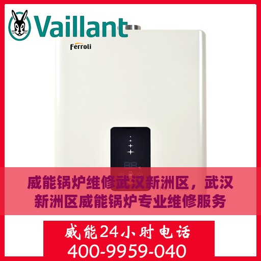 威能锅炉维修武汉新洲区，武汉新洲区威能锅炉专业维修服务