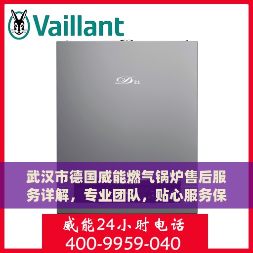 武汉市德国威能燃气锅炉售后服务详解，专业团队，贴心服务保障