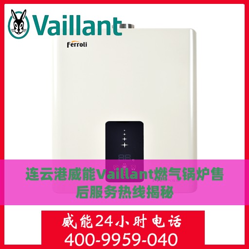 连云港威能Vaillant燃气锅炉售后服务热线揭秘