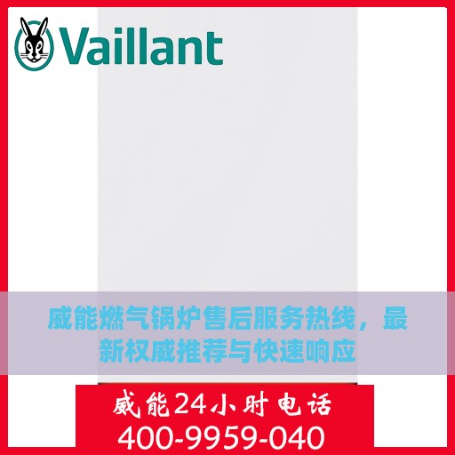 威能燃气锅炉售后服务热线，最新权威推荐与快速响应
